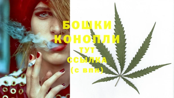 MESCALINE Корсаков