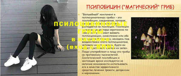 ПСИЛОЦИБИНОВЫЕ ГРИБЫ Костерёво