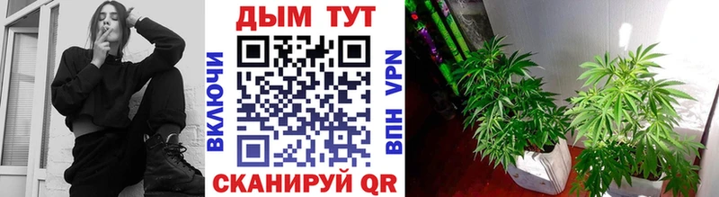 Каннабис VHQ  Купить  Благодарный 